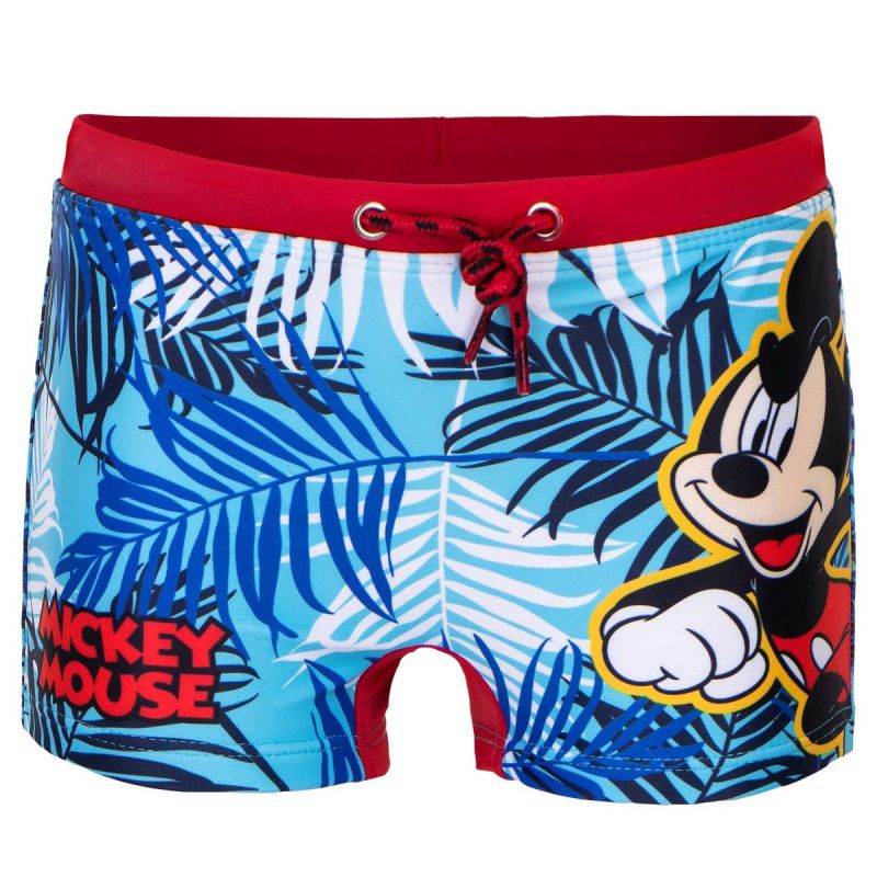 Boxer Mickey Mouse