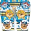 Παιδικές Σαγιονάρες Flip Flops Paw Patrol