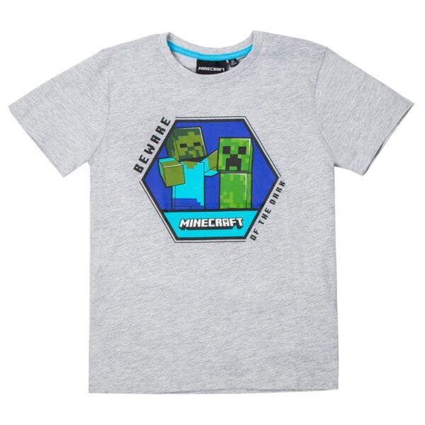 wp-image-behero-11227.jpg Μπλούζα Minecraft